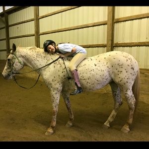 Meet your Posher, Lena